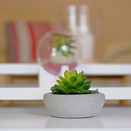 La Maison Du Boulevard