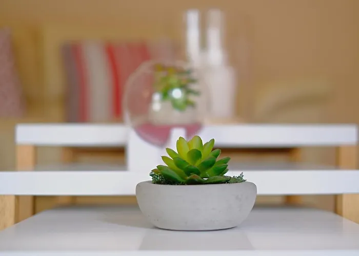 La Maison Du Boulevard