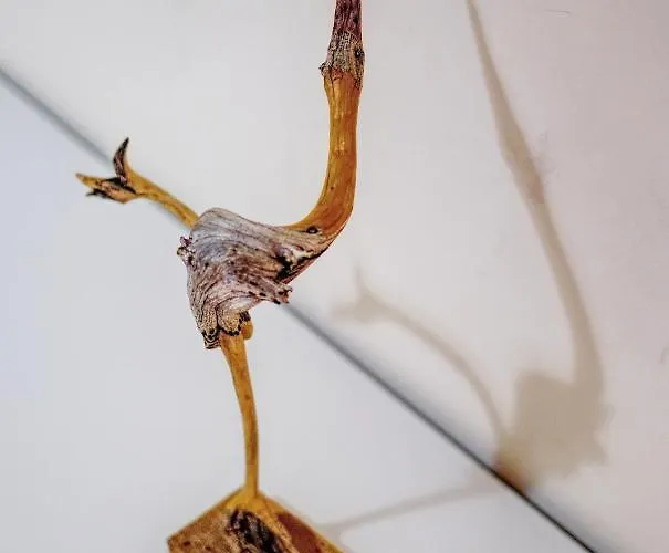 La Maison Du Boulevard * Aosta